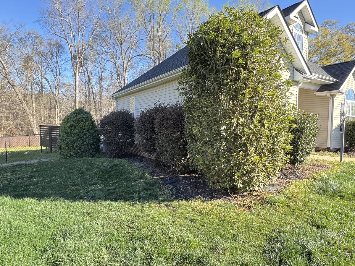 Before — Landscape & Grading Project 3
